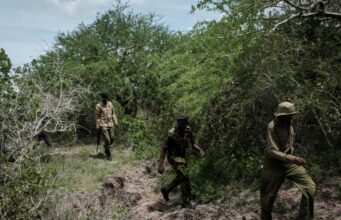 Six cadavres dans une fosse commune, le macabre mystère qui secoue la Guinée