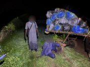 427 kg de chanvre indien saisis, le convoyeur interpellé