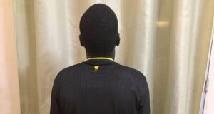 34 kg de drogue saisis, une personne interpellée