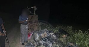 375 kg de chanvre indien saisis après un débarquement nocturne