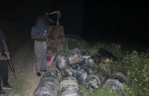 375 kg de chanvre indien saisis après un débarquement nocturne