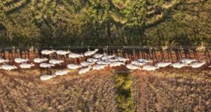 Dégradation des terres: trois initiatives qui montrent que la restauration marche