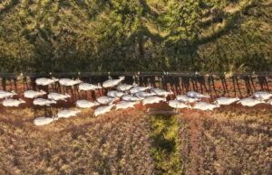 Dégradation des terres: trois initiatives qui montrent que la restauration marche