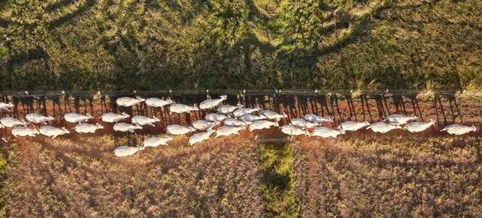 Dégradation des terres: trois initiatives qui montrent que la restauration marche