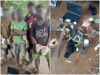 Un réseau de cambrioleurs tombe, l’ordinateur d’une étudiante retrouvé