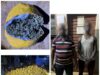 1 031 boules de chanvre indien interceptées, deux convoyeurs dans les filets de la police