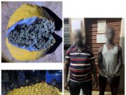 1 031 boules de chanvre indien interceptées, deux convoyeurs dans les filets de la police
