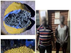 1 031 boules de chanvre indien interceptées, deux convoyeurs dans les filets de la police