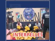 148 kg de cannabis découverts, trois individus interpellés