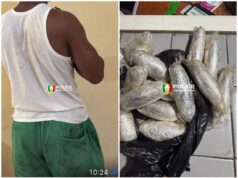 15 boulettes de cocaïne présumée saisies chez un étudiant